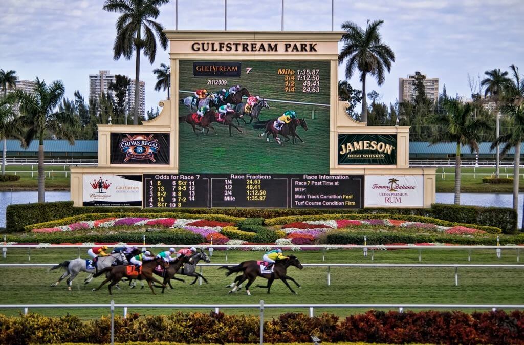 daily horse racing picks gulfstream park 24th december nj com