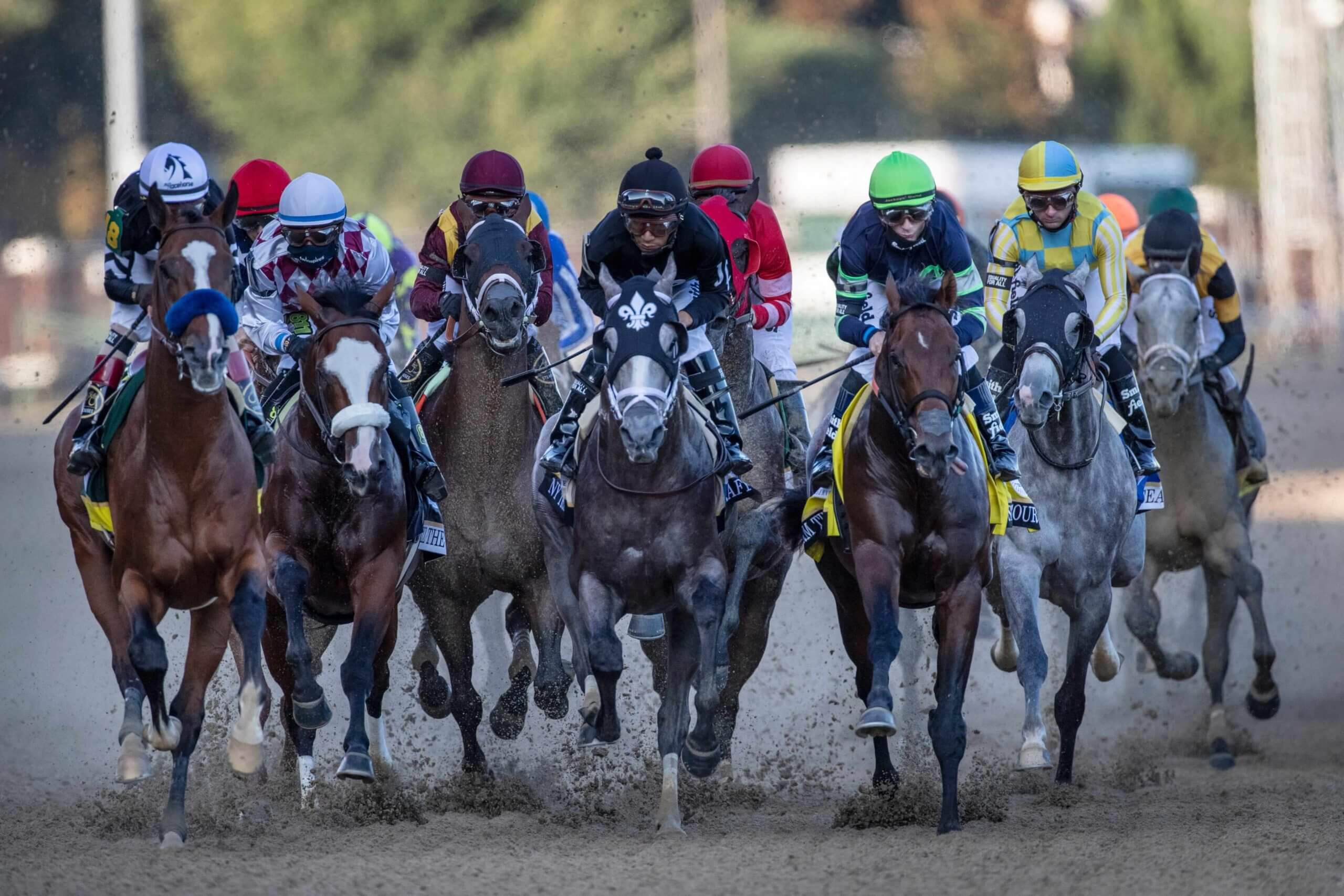 How Can I Bet On The Kentucky Derby At Home Legally Explained