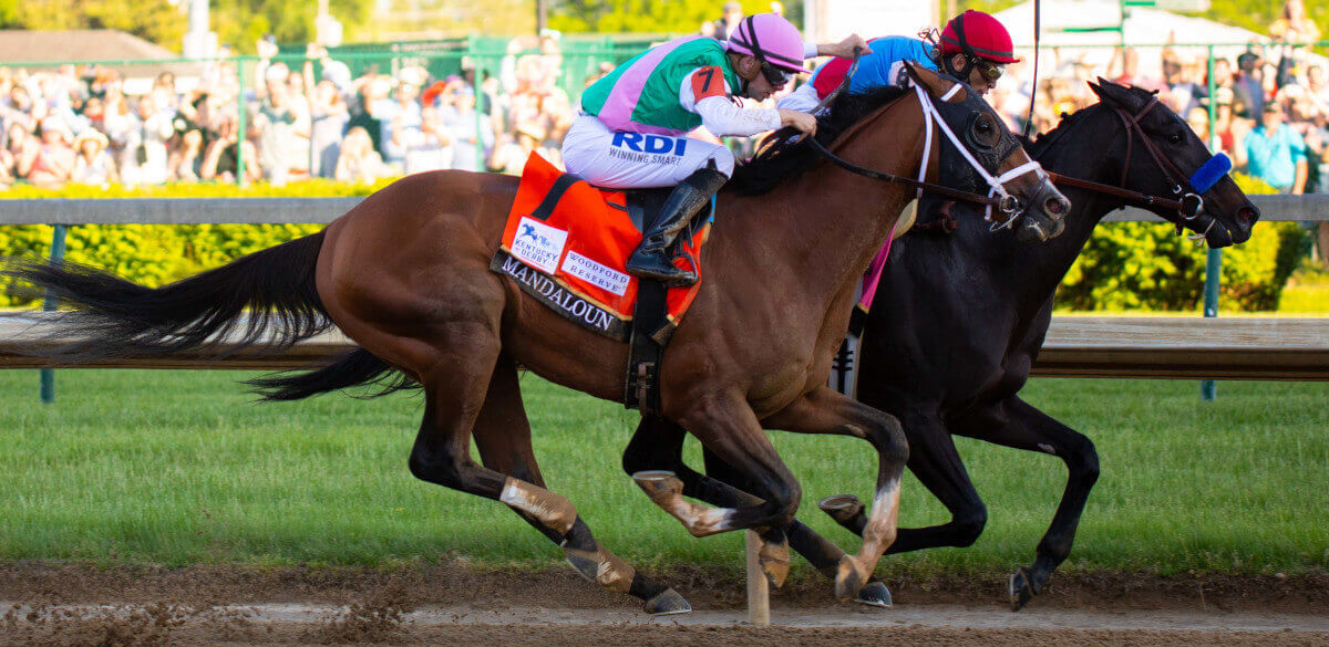 How To Bet The Haskell Stakes 2021 Online The Ultimate Betting Guide Nj Com